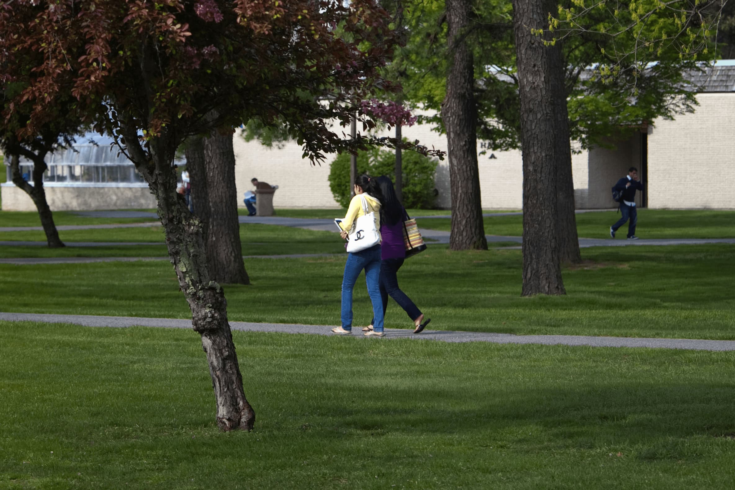 Students walking safely across campus